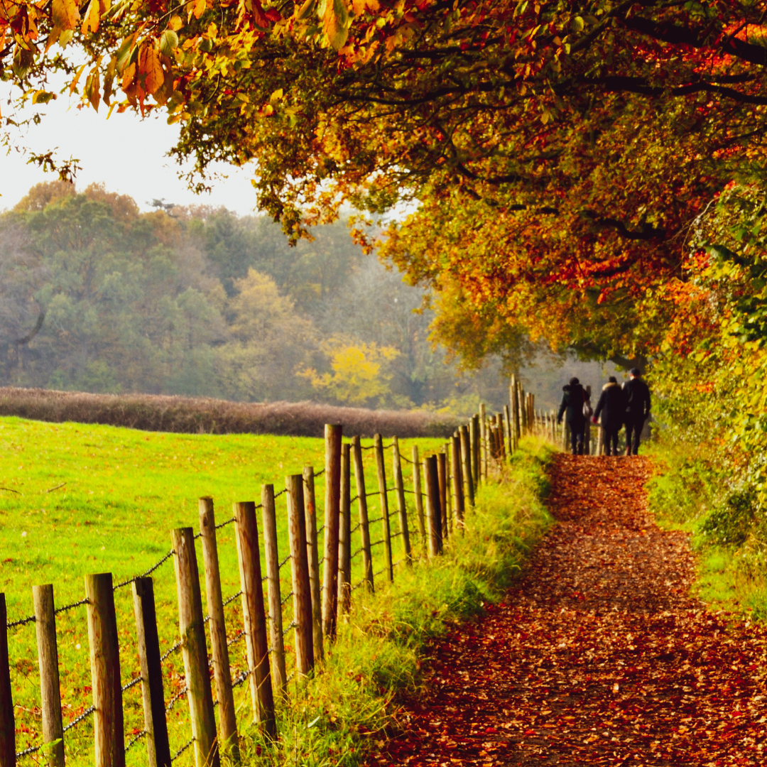 Autumn in the United Kingdom