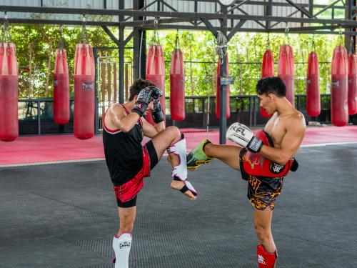 Muay Thai, Pict by Antonio Araujo on Unsplash